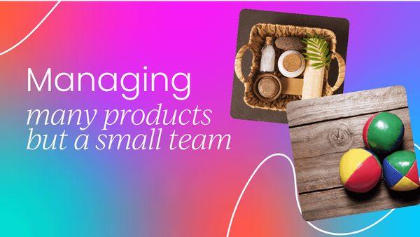 Managing a large product portfolio with limited team members